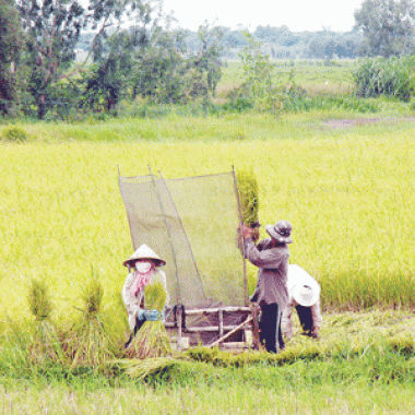 Đầu tư vào vùng đất Củ Chi để đón đầu khu đô thị vệ tinh của TPHCM