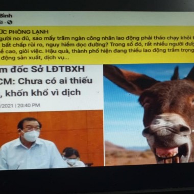 Lê Minh Tấn Cựu Gđ Sở LĐTB và XH Tp.HCM: Đội lốt Đảng viên- Chống lệnh Thành Uỷ và Chỉ đạo Chi cục THADS H. Củ Chi- Cướp 3.083,7m2 đất-2016- Làm Nhục Vùng Đất Thép